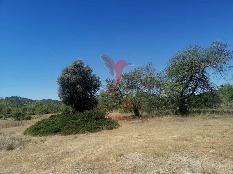 Land Rustic with 10742sqm Faro - water, electricity, very quiet area, easy access