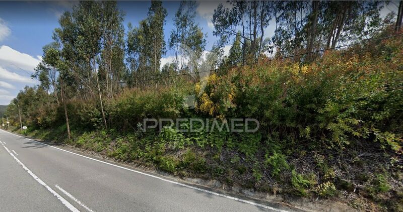Land with 10000sqm Lordelo Paredes