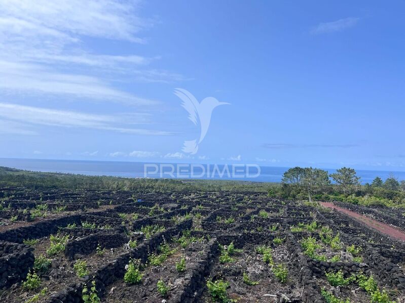 Land with 8874sqm Santa Luzia São Roque do Pico - electricity, nice location