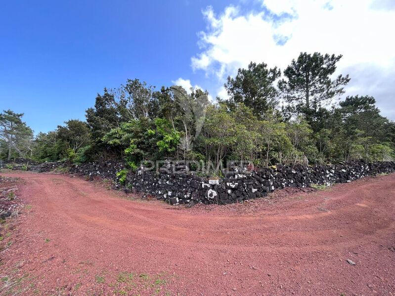 Land with 8874sqm Santa Luzia São Roque do Pico - electricity, nice location