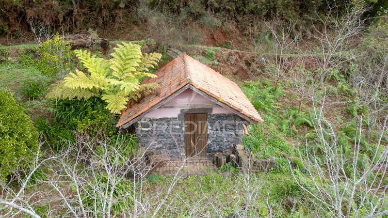 Terreno Rústico com 1800m2 Santo António da Serra Santa Cruz - árvores de fruto