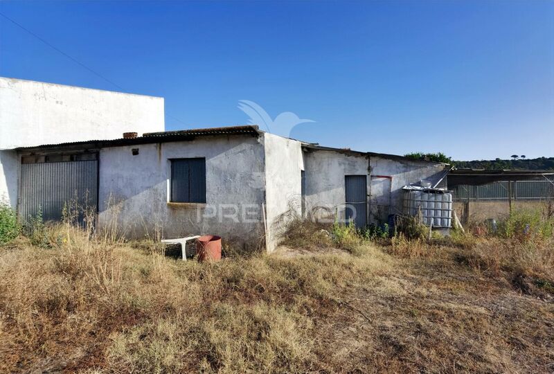 Terreno Rústico com 1000m2 Arneiro das Milhariças Santarém - electricidade, viabilidade de construção, água, barracão