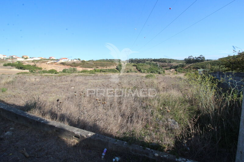 Land with 5000sqm Sintra