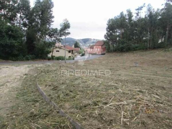 Terreno com 8000m2 Cesar Oliveira de Azeméis