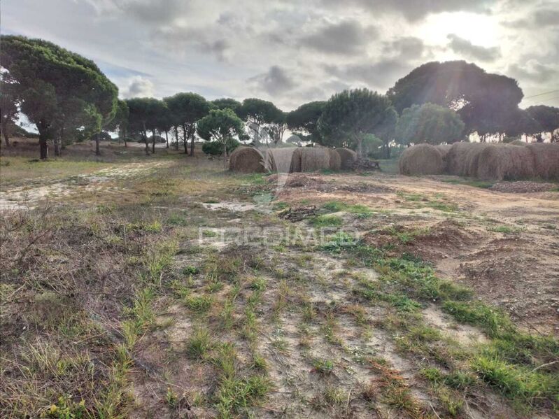 Land with 33145sqm Melides Grândola - ,