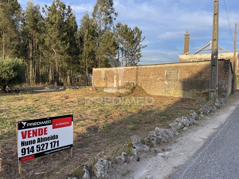 Terreno Urbano com 600m2 São Mamede Batalha