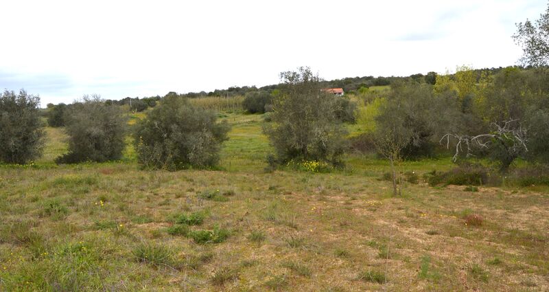 Land Rustic with 27110sqm Vila de Frades Vidigueira - water