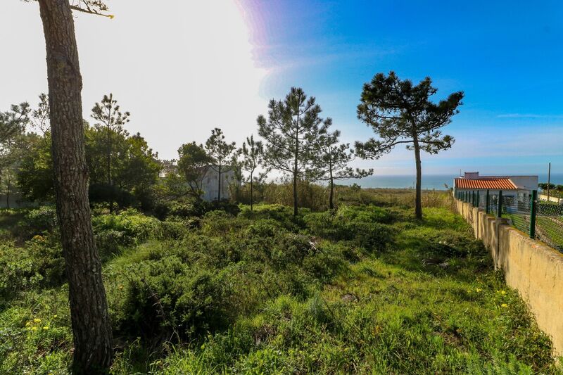Land Agricultural with 12800sqm Terrugem Sintra - great view, electricity, water, sea view