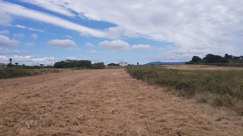 Land Agricultural with 3800sqm Terrugem Sintra - water, electricity