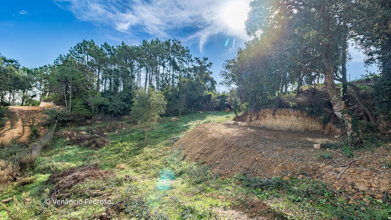 Terreno Rústico com 3312m2 Ericeira Mafra - viabilidade de construção, luz