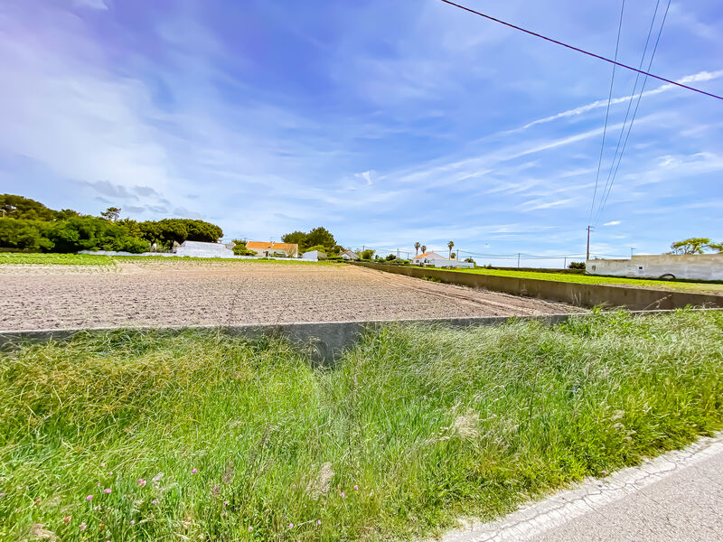 Terreno plano São Julião  São João das Lampas Sintra - luz, viabilidade de construção, água