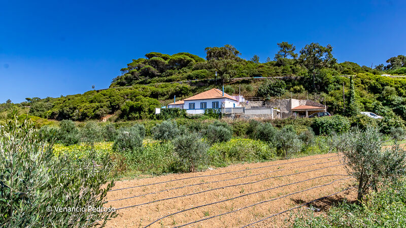 Дом/Вивенда V2 Ericeira Mafra - камин, гараж, чердак, барбекю, экипированная кухня