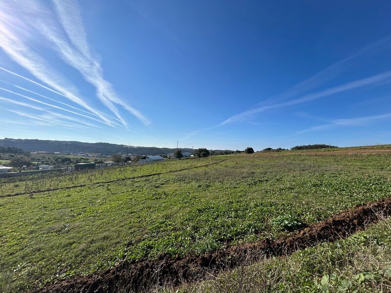 Land Agricultural with 9000sqm Ericeira Mafra - water, electricity, construction viability