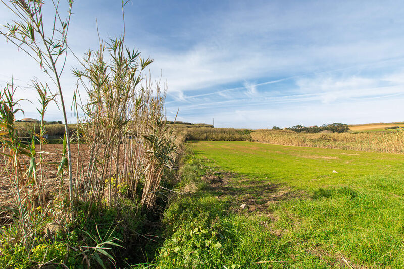 Terreno Agrícola com 7250m2 Encarnação Mafra - luz, água, zona sossegada