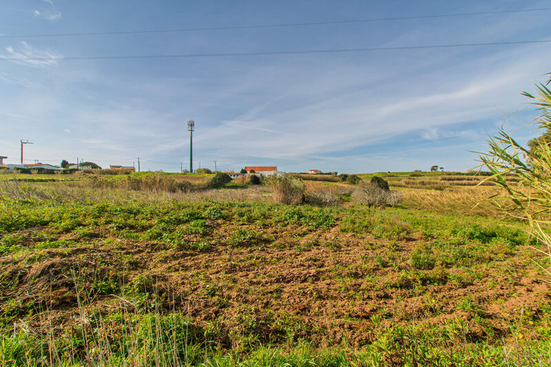 Terreno Agrícola com 9312m2 Ericeira Encarnação Mafra - água, luz, zona sossegada