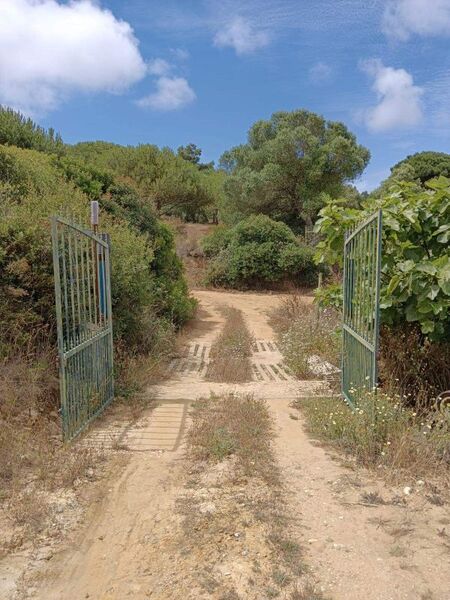 Land Agricultural with 7500sqm Castelo (Sesimbra) - fruit trees, water, water hole