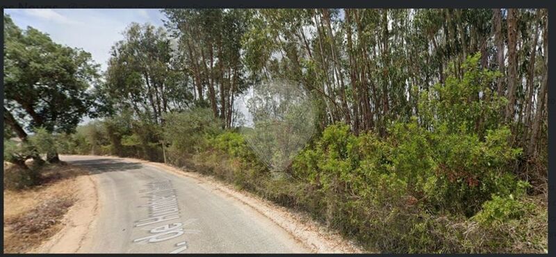 Land Urban with 20000sqm Torres Novas - great location