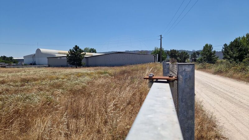 Terreno Urbano com 11000m2 Quinta do Anjo Palmela