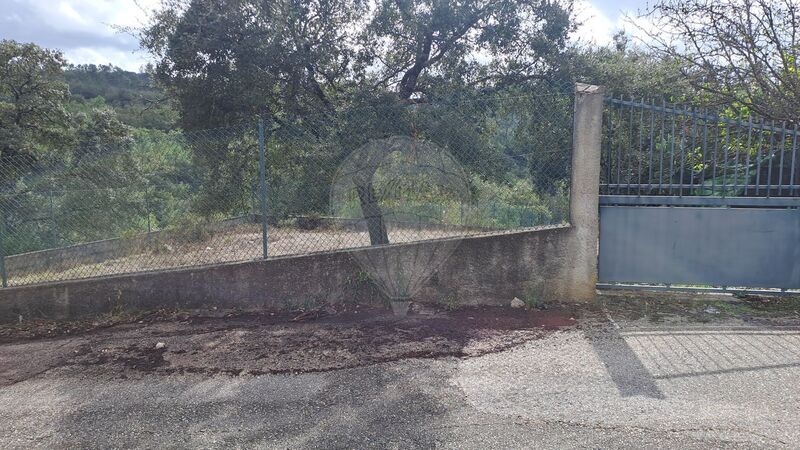 Land with 5720sqm Tomar - electricity, water