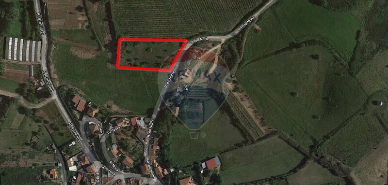 Land Agricultural with 3240sqm Mafra