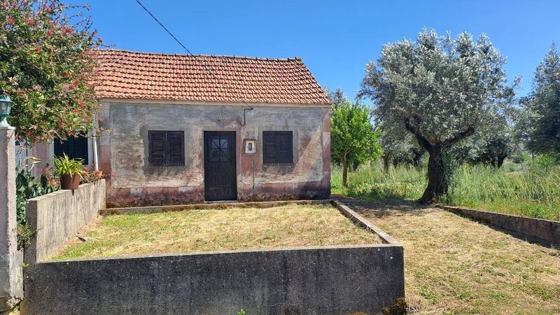 House Single storey V1 Ferreira do Zêzere