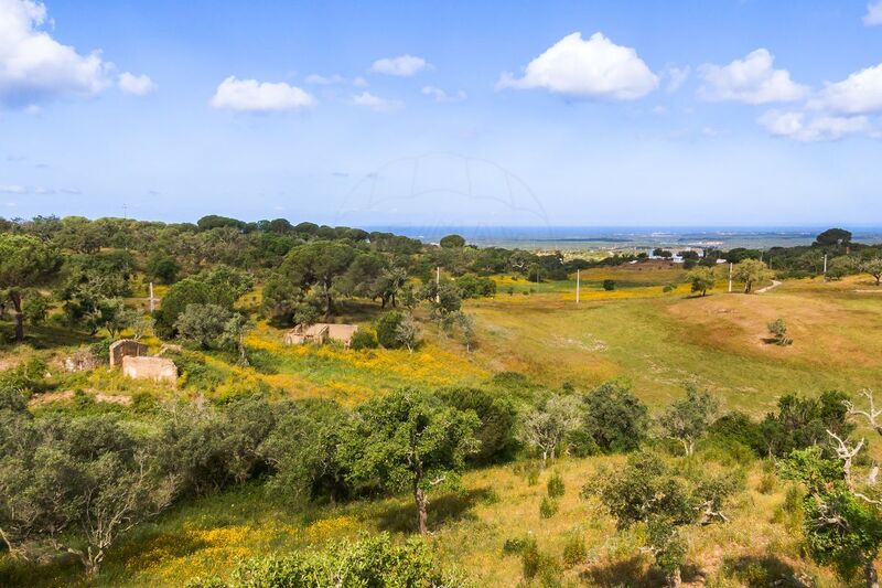 земля c 5912500m2 Melides Grândola - электричество, вода, отличный подъезд, великолепное месторасположение, колодец