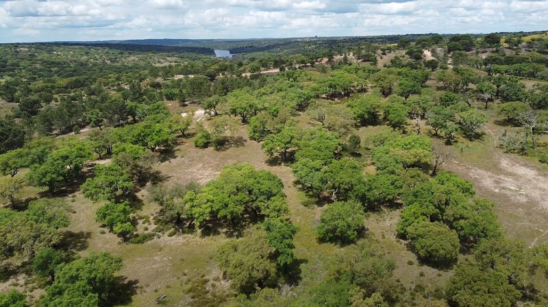 Terreno com 51237m2 Aldeia Velha Avis - cultura arvense, água