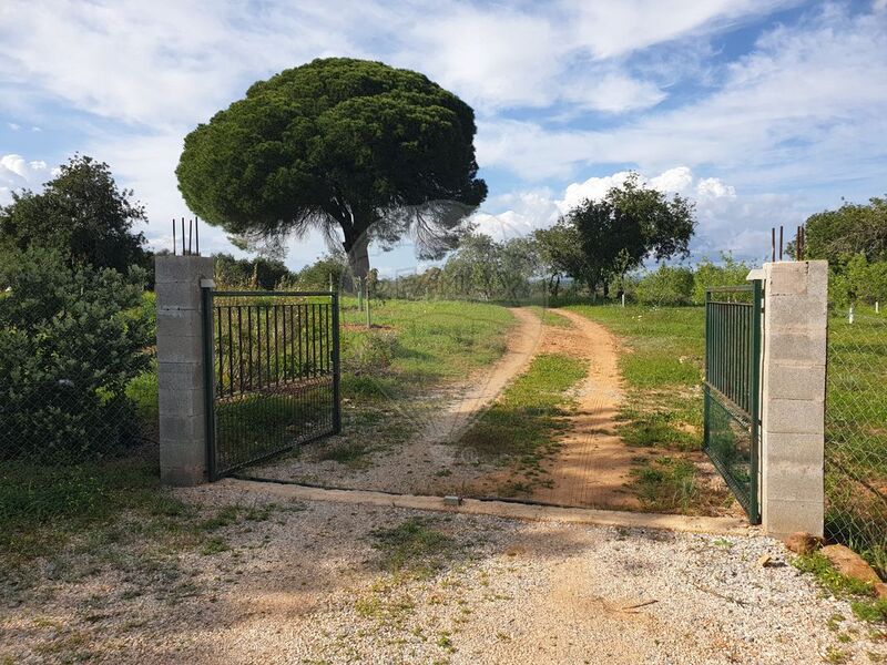 Plot of land Agricultural with approved project Luz de Tavira - water, easy access, electricity