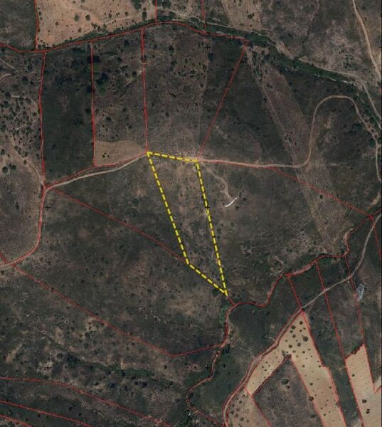 Land with 9270sqm São Brás de Alportel