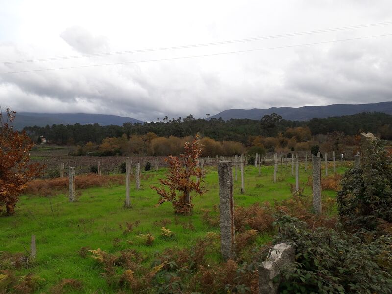 Terreno novo com 1900m2 Pias Monção