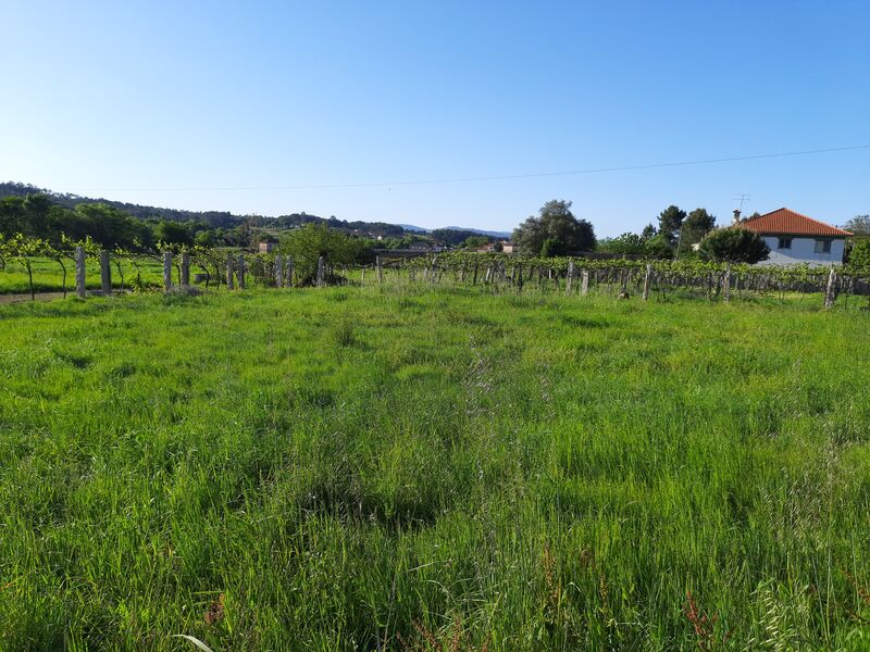 Land nouvel with 1020sqm Pias Monção - quiet area, easy access