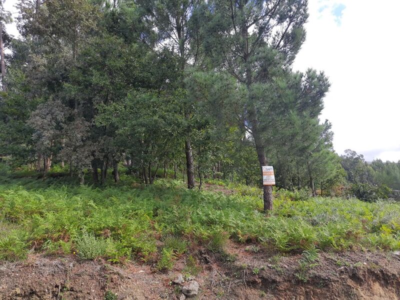 Land nuevo with 4900sqm Melgaço - easy access