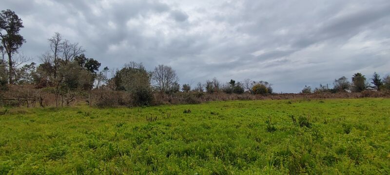 Land uusi with 1583sqm Pousos Leiria