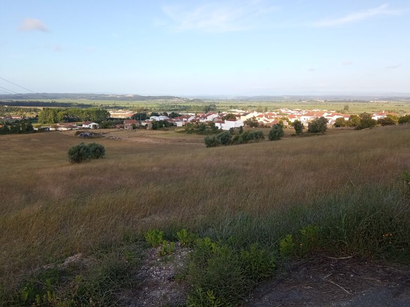 Terreno Agrícola com 7652.84m2 Maiorca Figueira da Foz - viabilidade de construção