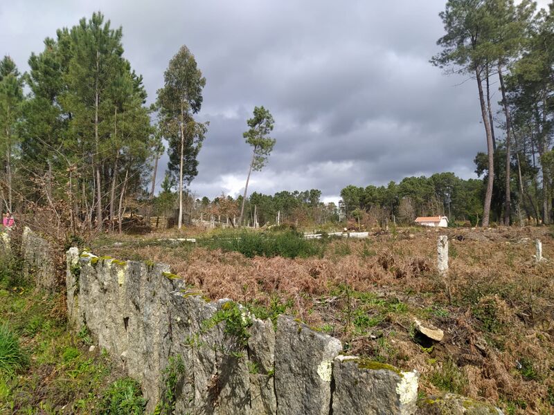 земля c 1900m2 Pinheiros Monção - отличный подъезд, электричество, вода