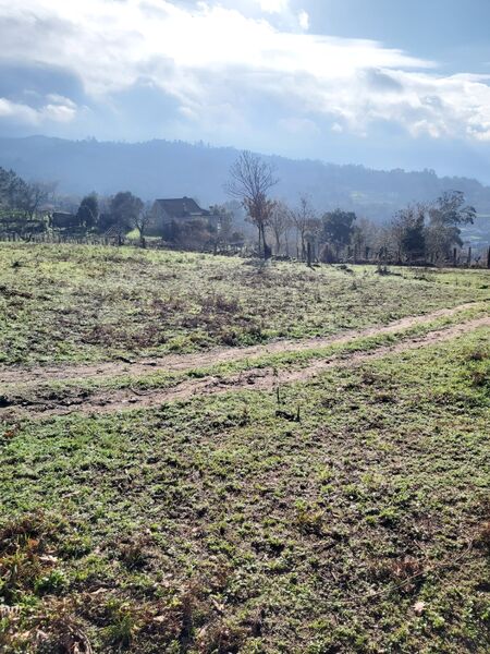 Land with 4700sqm Melgaço - water, tank