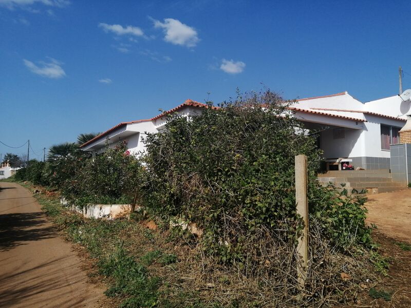 Land Agricultural Amendoais Silves - electricity, water, quiet area
