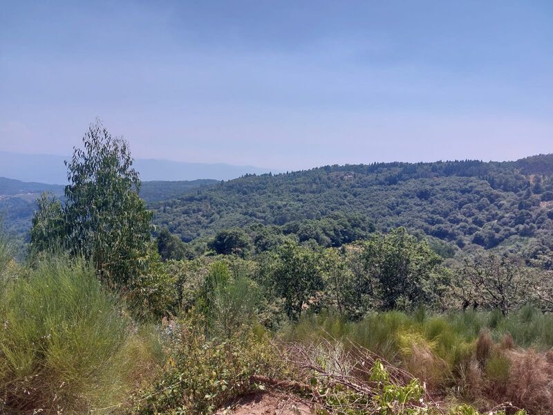 Land Agricultural with 840sqm Paçô Arcos de Valdevez