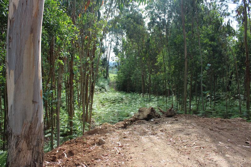 Terreno para construção Monção