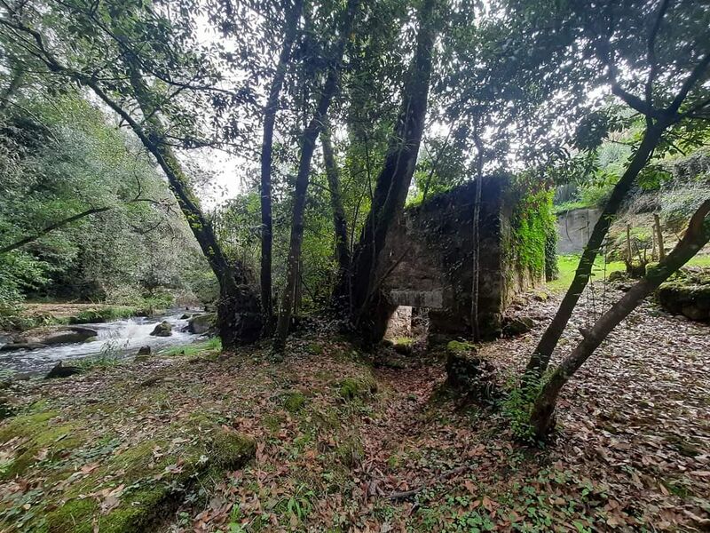 Terreno com 6000m2 Monção