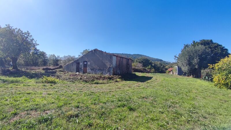 Terreno plano Maçãs de Dona Maria Alvaiázere