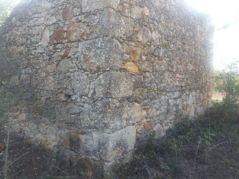 Terreno Rústico plano Torres Novas - viabilidade de construção, oliveiras, árvores de fruto, poço