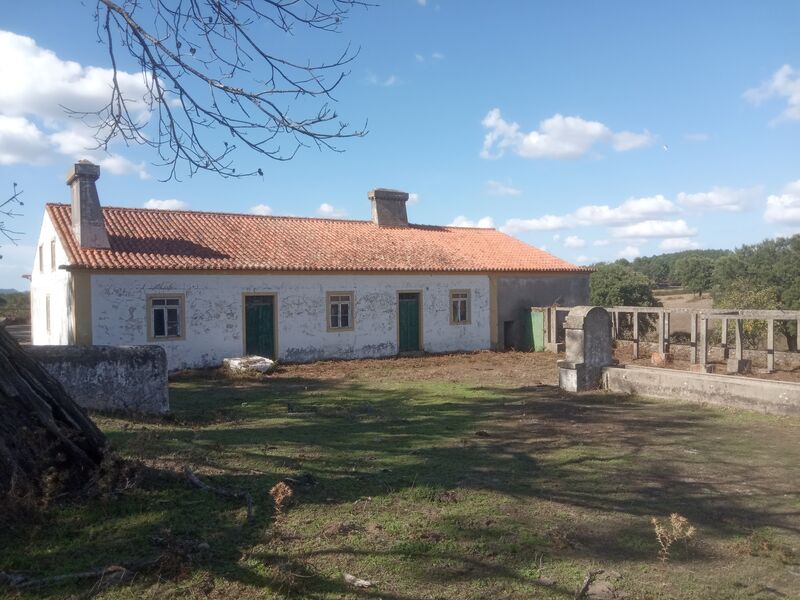 Homestead São Salvador da Aramenha Marvão - water, cork oaks, fruit trees, excellent access