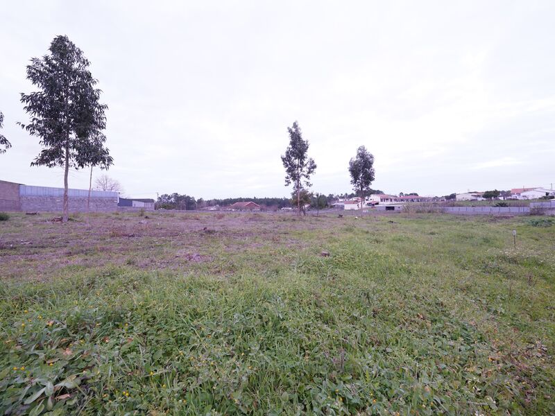 Land with 2500sqm Maceira Leiria - very quiet area