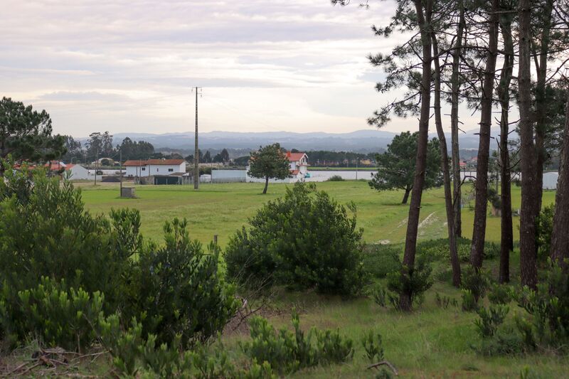 Land with 6800sqm Torrão do Lameiro Ovar