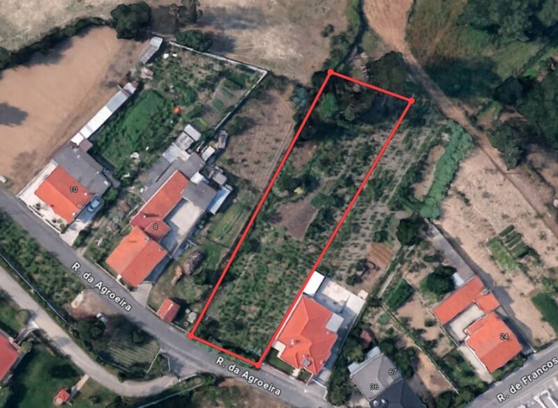 Terreno com 2170m2 Amieira Marinha Grande - luz