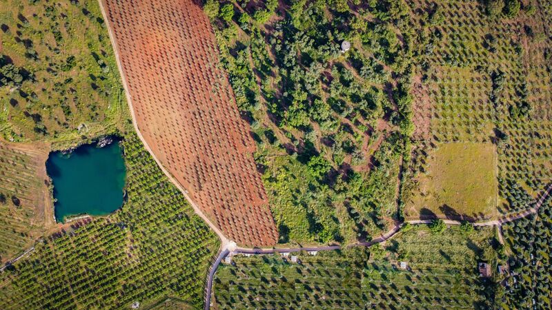 Homestead Évora Monte (Santa Maria) Estremoz - olive trees, air conditioning, water hole, automatic irrigation system, tennis court, solar panels, solar panels, swimming pool, equipped, cork oaks, water