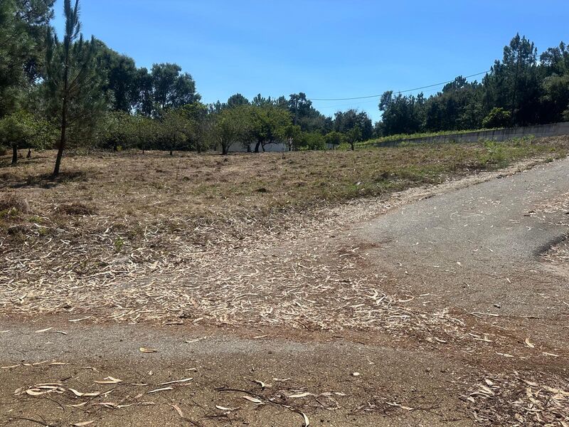 земля для строительства Ferraria Alcobaça - вода, колодец