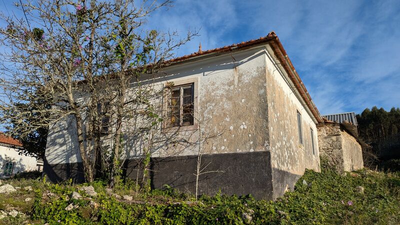 Casa V3 Antiga em excelente estado Leiria - lareira