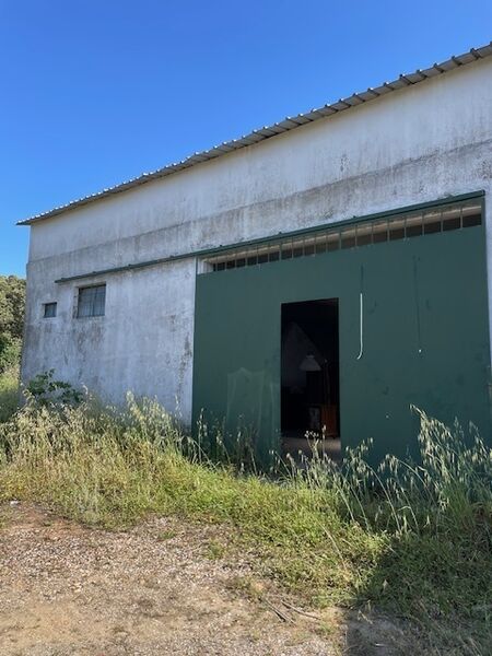 Terreno Urbano com 3820m2 Santa Maria dos Olivais Tomar - garagem, barracão